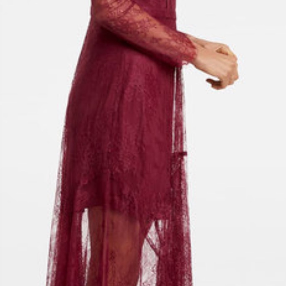 Ever New Arya Chantilly Lace Midi Dress - Picture 6 of 7